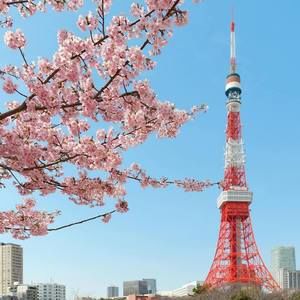 Meet your Posher, Cherry